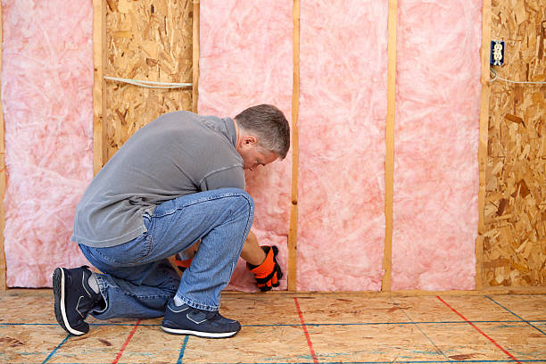 Best Soundproof Insulation  in South El Monte, CA